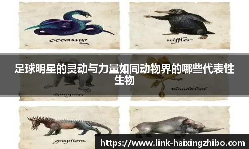 海星体育在线直播